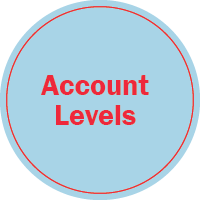 Account Levels Icon