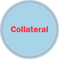 Collaterial Icon