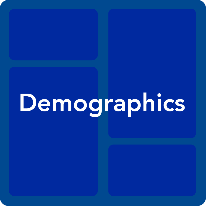 Demographics Icon