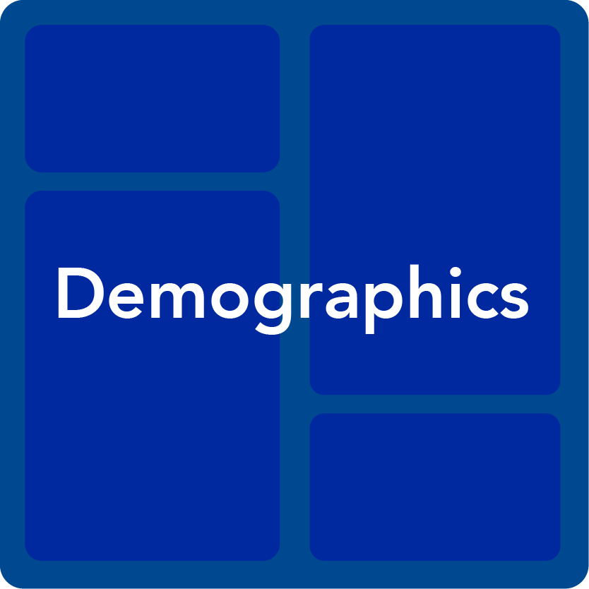 Demographics Icon